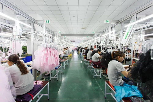 堅持科技創新，引領會員企業高質量發展取得新成果——聚焦科技技術開發